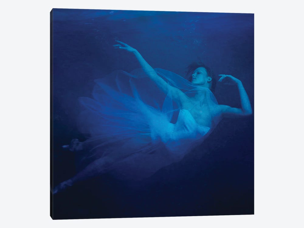 Waterplay Ballet 1 by Miriana 1-piece Canvas Art