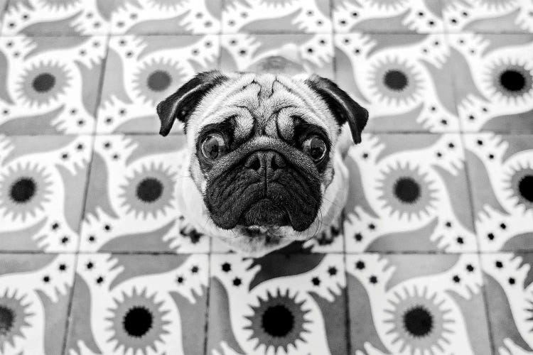 Vudao by Pablo Abreu wall art