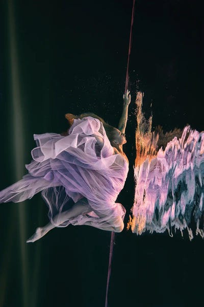 Fly Up Iii