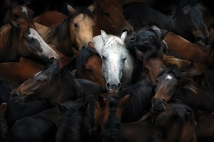The White Horse