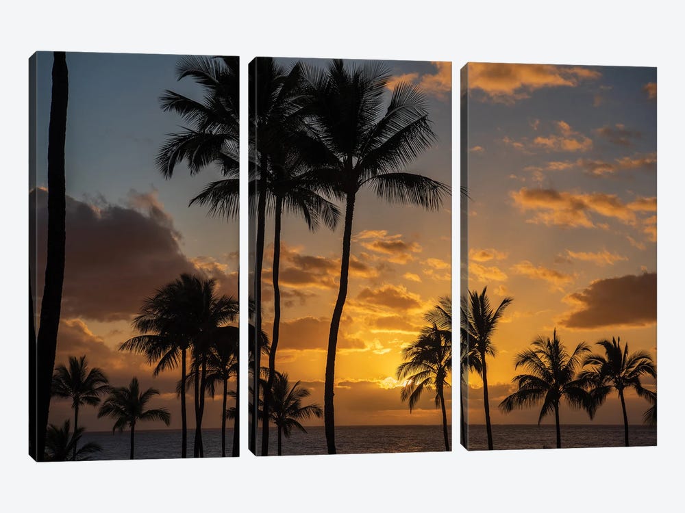 Tranquility by Shawn D. 3-piece Canvas Print