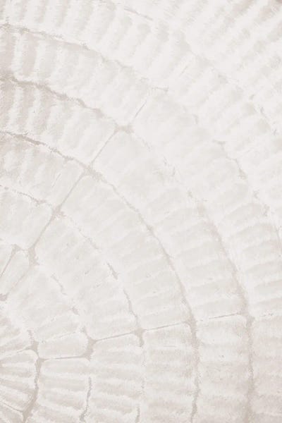 Pattern Plate Beige II