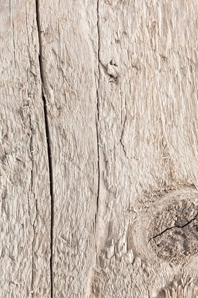 Wood by 1x Studio III canvas print