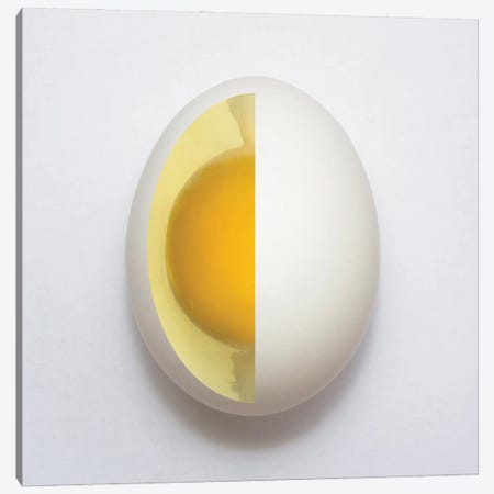 Inner Egg Canvas Print #OXM7098} by Adelino Alves Canvas Art Print