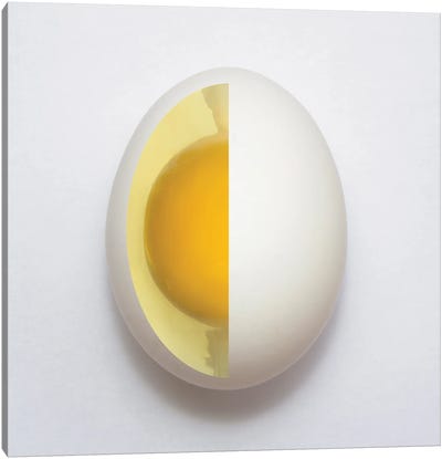 Inner Egg Canvas Art Print