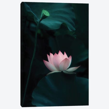 Lotus Flower Canvas Print #OXM7124} by Catherine W. Canvas Artwork