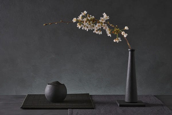 Still Life Photography: Prunus Avium by Christophe Verot