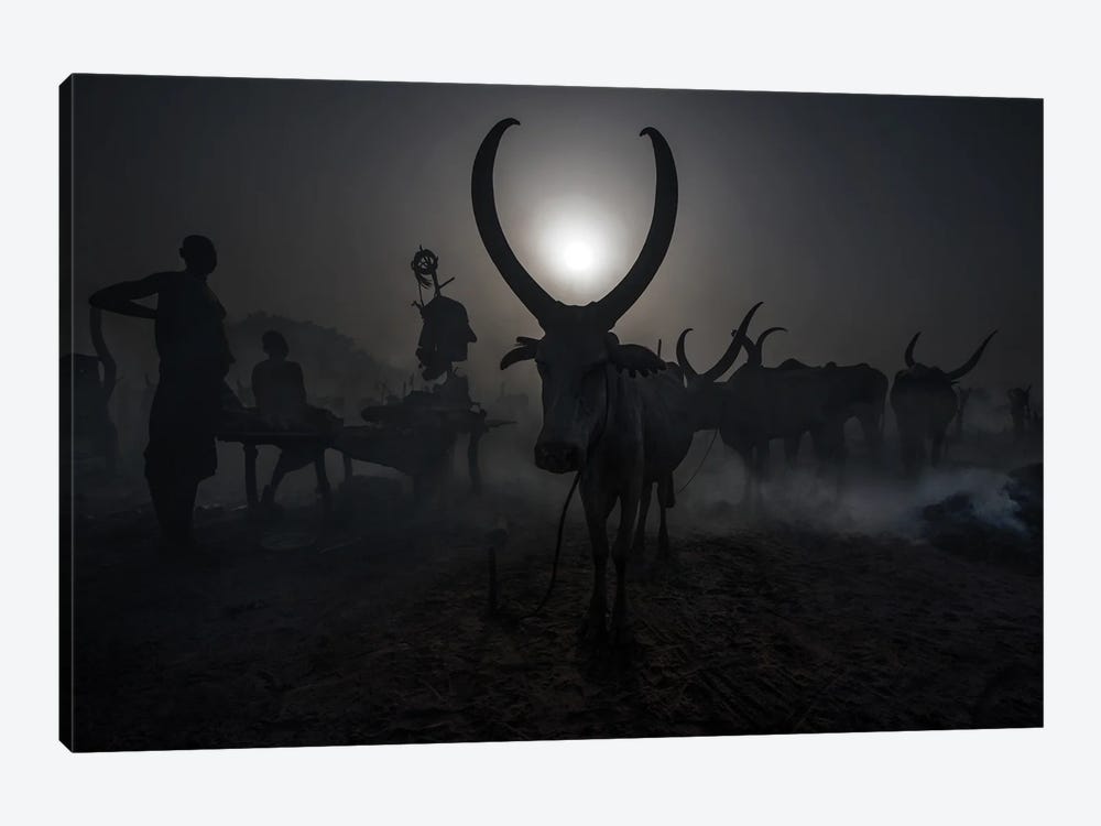 At A Mundari Cattle Camp - South Sudan by Joxe Inazio Kuesta 1-piece Art Print