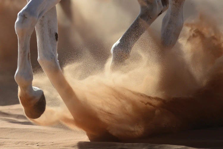 Oman Desert by Kadir Civici wall art