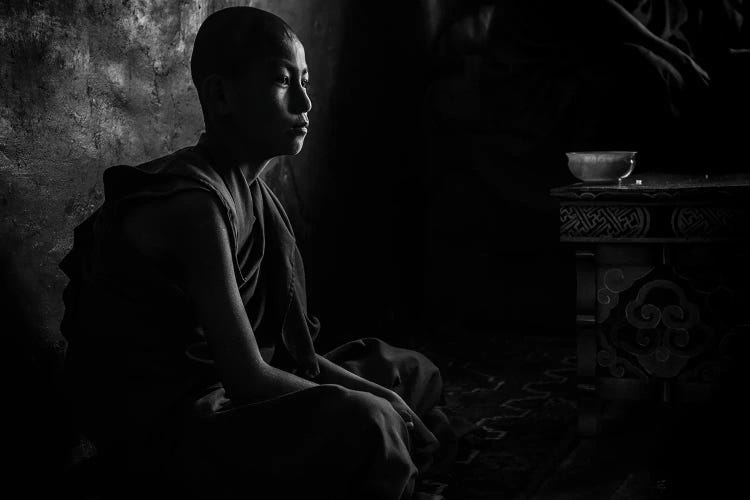 Novice In The Dark by Marco Tagliarino wall art