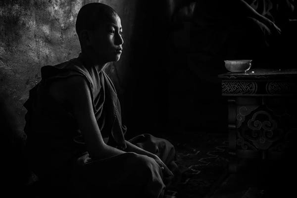 Novice In The Dark