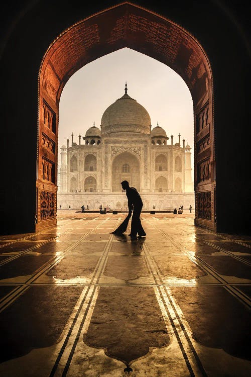 Taj Mahal Cleaner by Pavol Stranak wall art