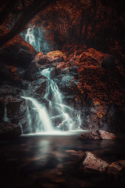 Red Eden by Rudi Gunawan wall art