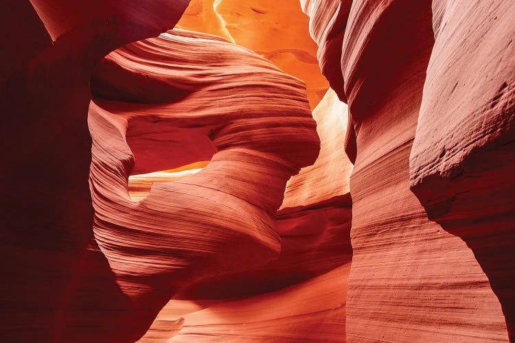 Natural Sculpture