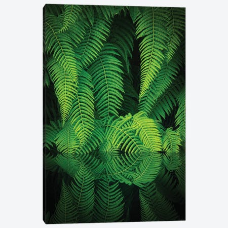 Beauty In Nature Canvas Print #OXM7227} by Takeshi Mitamura Art Print
