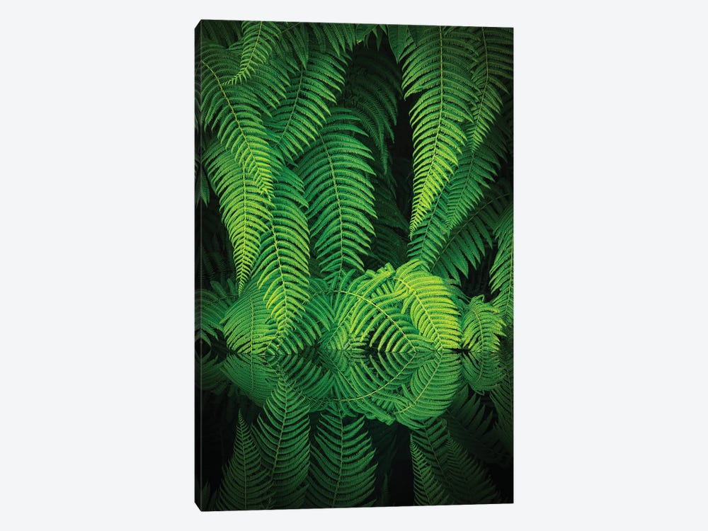 Beauty In Nature by Takeshi Mitamura 1-piece Canvas Print