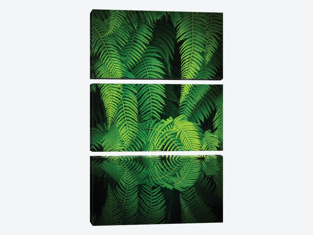 Beauty In Nature by Takeshi Mitamura 3-piece Canvas Art Print