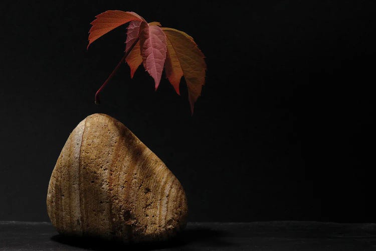 Levitation by Thierry Lagandré wall art