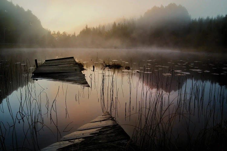 In The Misty Morning