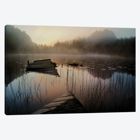 In The Misty Morning Canvas Print #OXM7247} by Willy Marthinussen Canvas Print