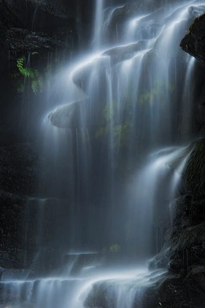 Yan Zhang: Sylvia Falls by Yan Zhang