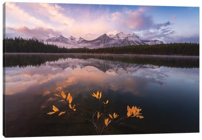 Last Fall View Canvas Art Print - 1x Collection