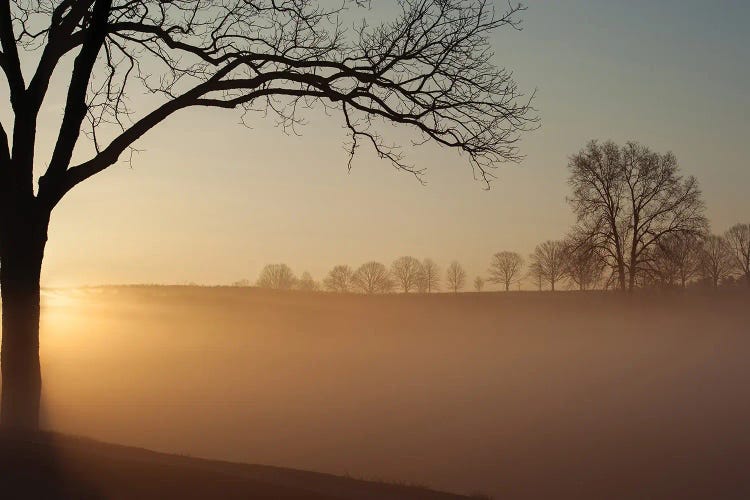 Sunrise In Valley Forge National Park