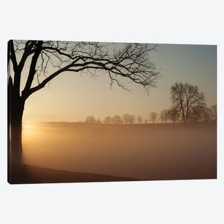 Sunrise In Valley Forge National Park Canvas Print #OXM7254} by Austin Canvas Artwork