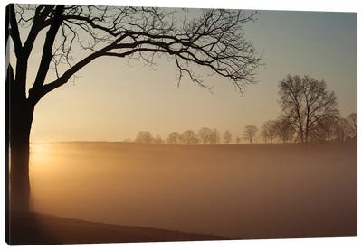 Sunrise In Valley Forge National Park Canvas Art Print