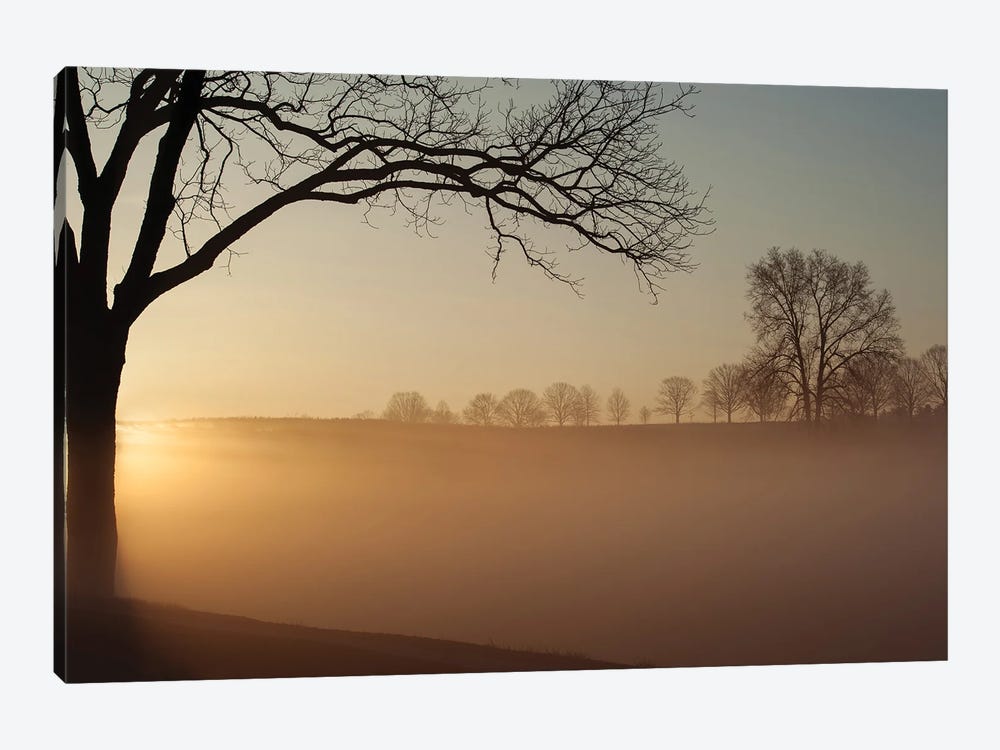 Sunrise In Valley Forge National Park by Austin 1-piece Art Print