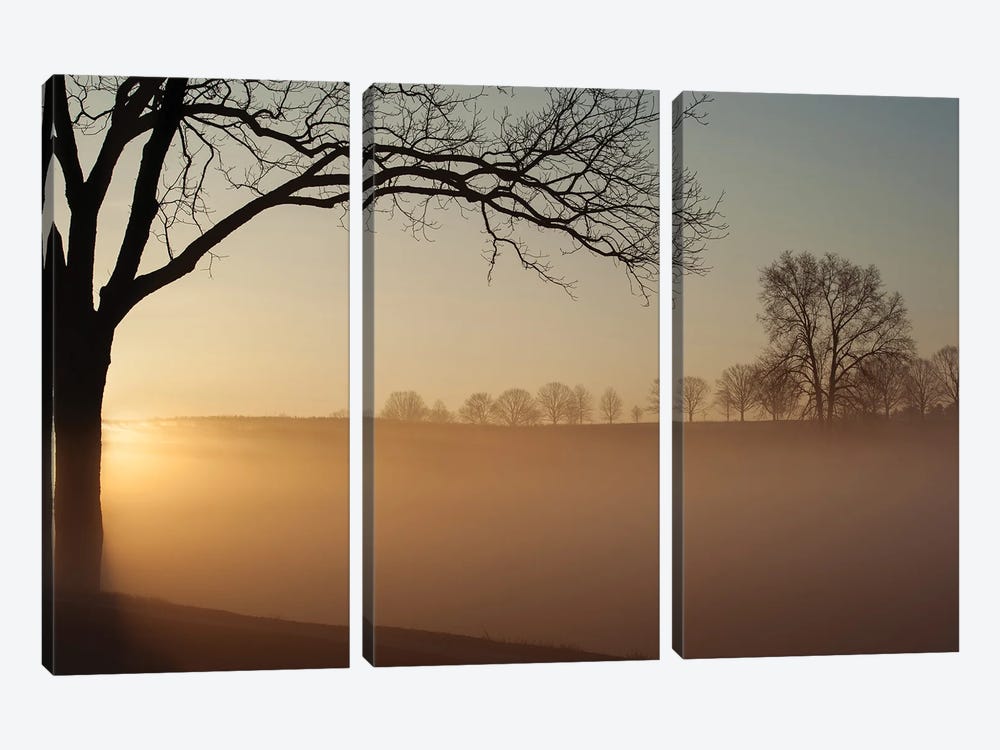 Sunrise In Valley Forge National Park by Austin 3-piece Canvas Print