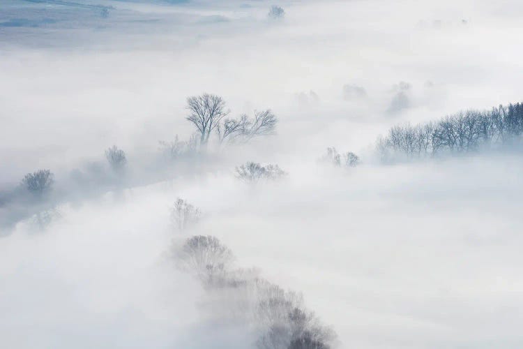 Winter by Marco Galimberti wall art