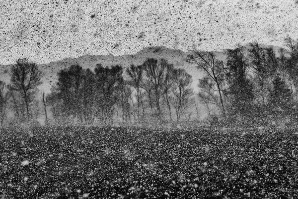 Snow Storm