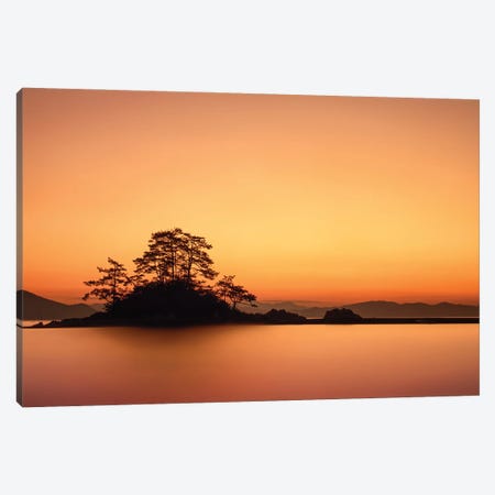 Lonely Island Canvas Print #OXM7268} by Tiger Seo Canvas Art