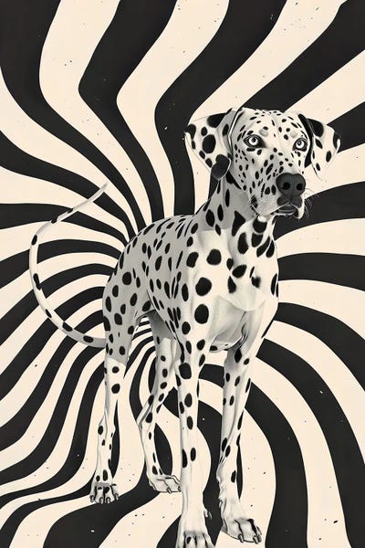 Andreas Magnusson: The Dalmatian by Andreas Magnusson