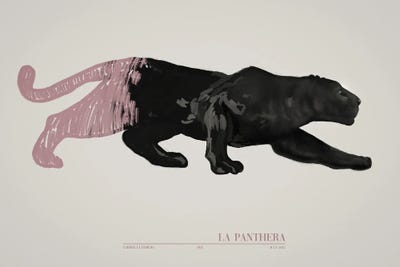 La Panthera (Pink) by Gabriella Roberg canvas print