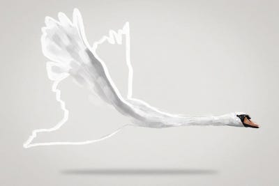 Winged One by Gabriella Roberg canvas print