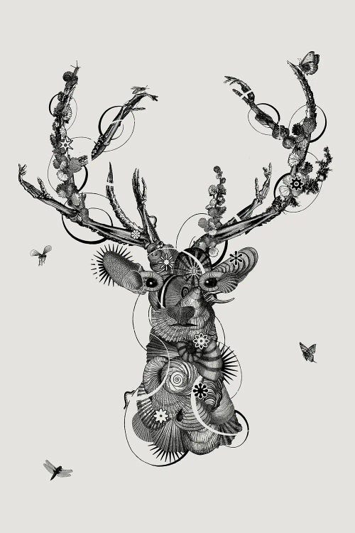 Deerhead by Jaco Putker wall art