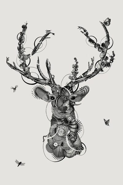 Black & White Florals: Deerhead by Jaco Putker