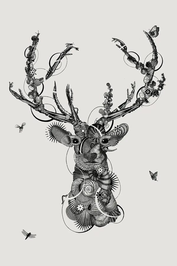 Jaco Putker