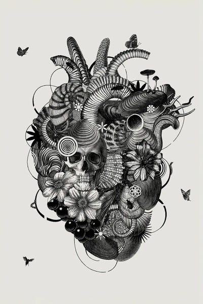 Mushrooms: Heart - Black And White by Jaco Putker
