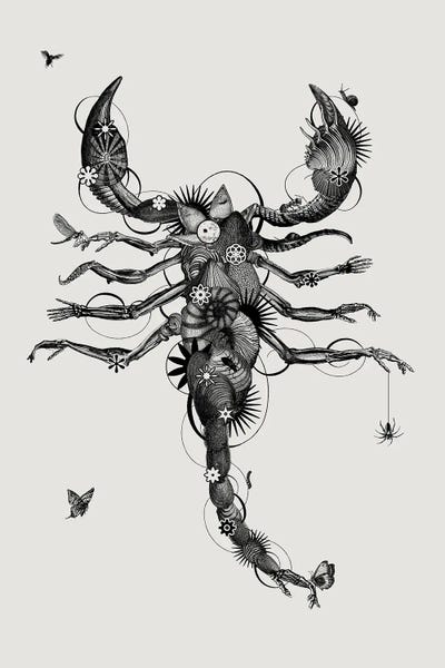 Scorpion