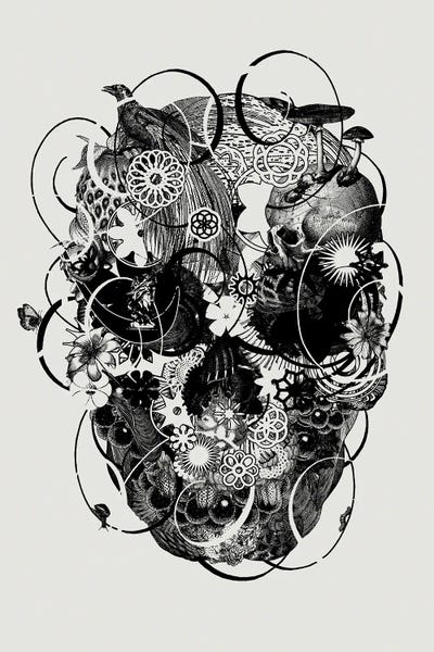 Black & White Florals: Skull II by Jaco Putker