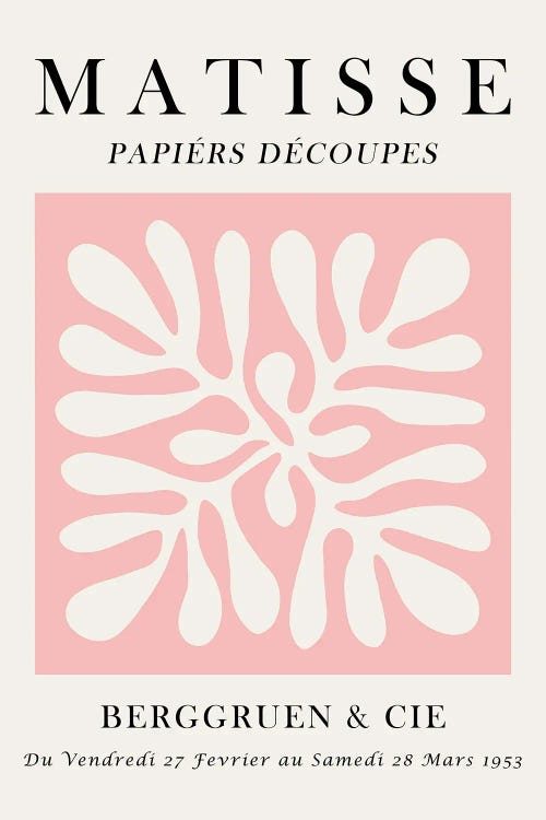 Matisse Floral Poster XI