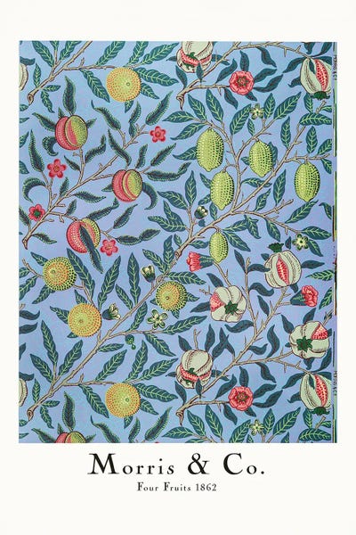 Four Fruits by William Morris acrylic art print