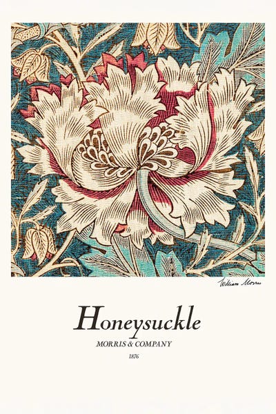 Vintage Botanical Illustrations: Honeysuckle by William Morris