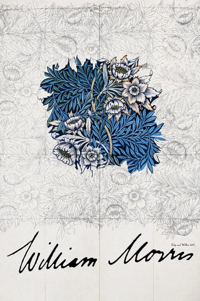 Vintage Botanical Illustrations: Tulip And Willow by William Morris