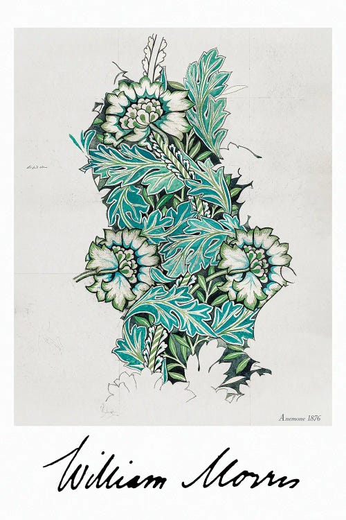 Anemone II by William Morris wall art