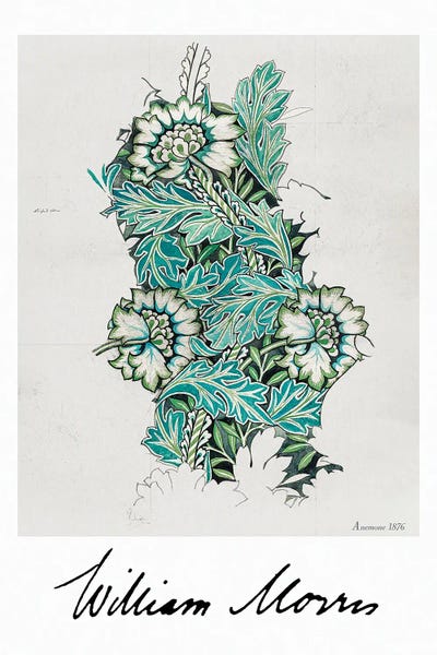 Vintage Botanical Illustrations: Anemone II by William Morris