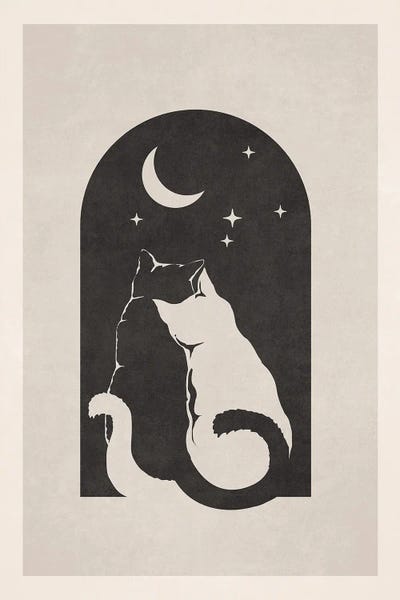 Pet Obsessed: Embracing Cats III by Emel Tunaboylu